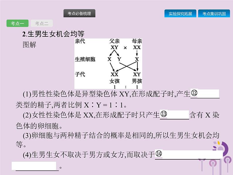 初中生物中考复习 课标通用中考生物总复习第七单元生物圈中生命的延续和发展第二十二讲生物的遗传和变异(二)课件04