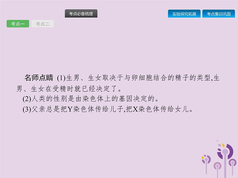 初中生物中考复习 课标通用中考生物总复习第七单元生物圈中生命的延续和发展第二十二讲生物的遗传和变异(二)课件05