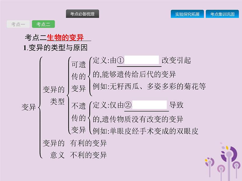 初中生物中考复习 课标通用中考生物总复习第七单元生物圈中生命的延续和发展第二十二讲生物的遗传和变异(二)课件06