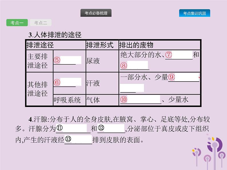 初中生物中考复习 课标通用中考生物总复习第四单元生物圈中的人第十三讲人体内废物的排出课件03