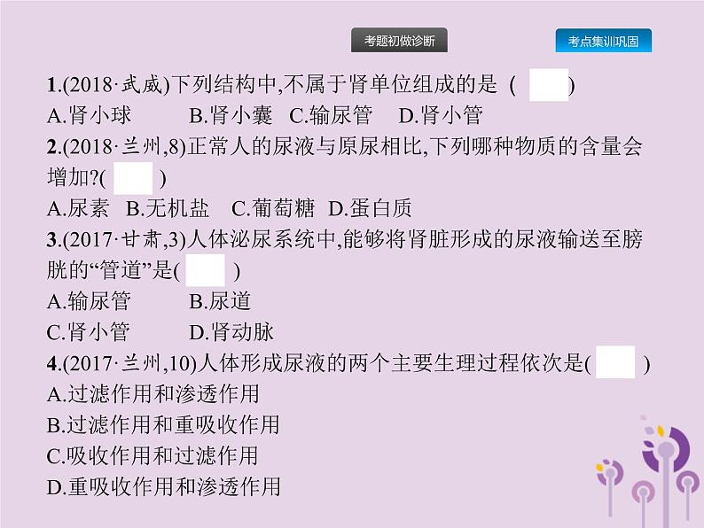 初中生物中考复习 课标通用中考生物总复习第四单元生物圈中的人第十三讲人体内废物的排出课件06