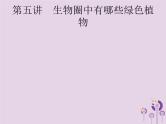 初中生物中考复习 课标通用中考生物总复习第二单元生物体的结构层次第五讲生物圈中有哪些绿色植物课件