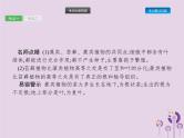 初中生物中考复习 课标通用中考生物总复习第二单元生物体的结构层次第五讲生物圈中有哪些绿色植物课件
