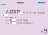 初中生物中考复习 课标通用中考生物总复习第二单元生物体的结构层次第五讲生物圈中有哪些绿色植物课件