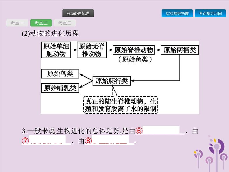 初中生物中考复习 课标通用中考生物总复习第七单元生物圈中生命的延续和发展第二十三讲生命起源和生物进化课件07