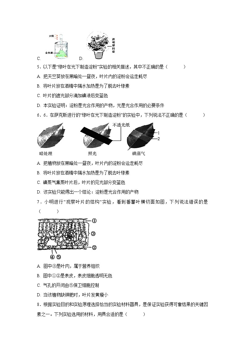 初中生物中考复习 中考生物会考复习专项训练7：绿色植物与生物圈的水循环（基础版，含详解）第2页