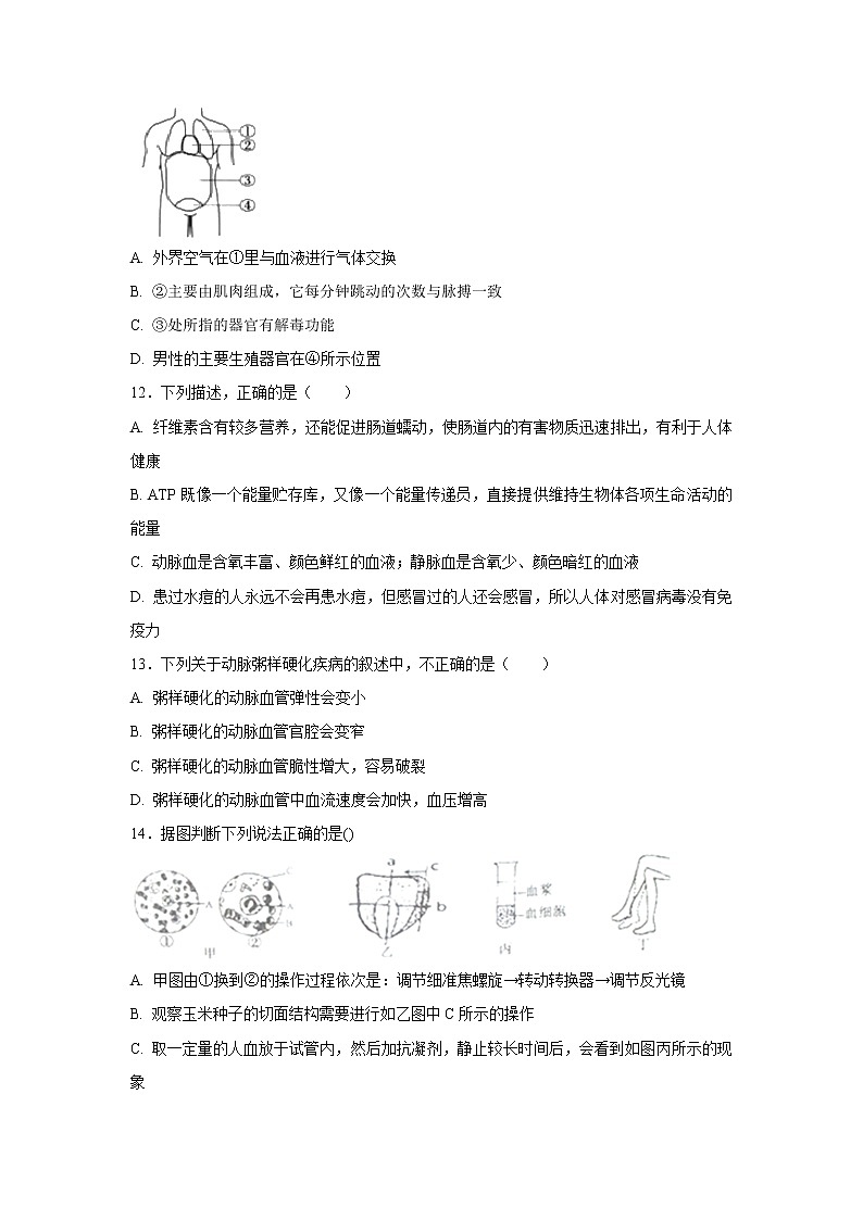 初中生物中考复习 中考生物会考复习专项训练12：人体内物质的运输（基础版，含详解）第3页