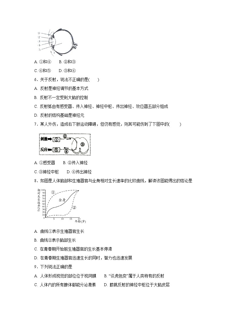 初中生物中考复习 中考生物会考复习专项训练15：人体生命活动的调节（基础版，含详解）02