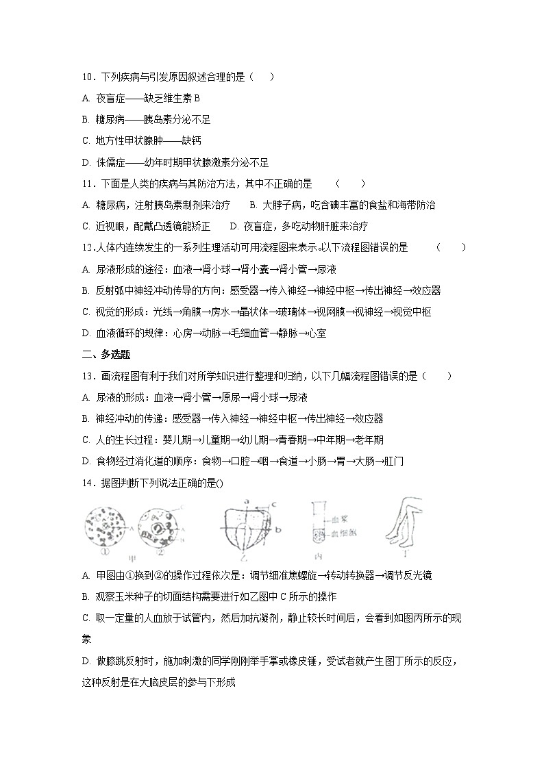 初中生物中考复习 中考生物会考复习专项训练15：人体生命活动的调节（基础版，含详解）03