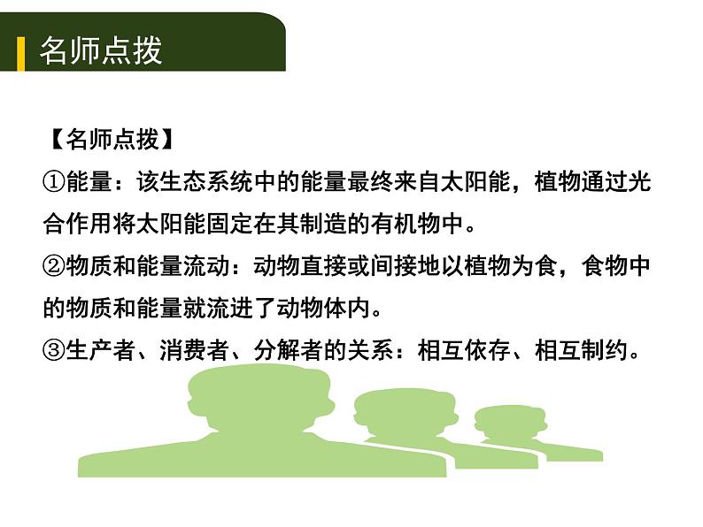 初中生物中考复习 三、（二）生物与环境组成  生态系统生物圈是人类与其他生物的共同家园课件PPT第3页