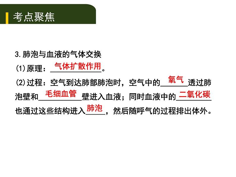 初中生物中考复习 五、（二）人体生命活动的能量供给课件PPT第4页