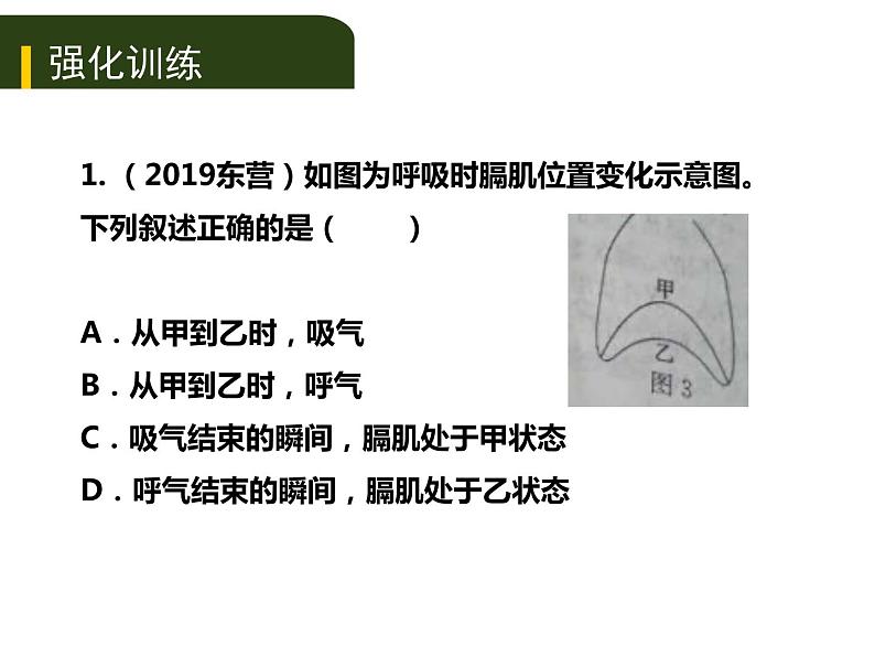 初中生物中考复习 五、（二）人体生命活动的能量供给课件PPT第5页