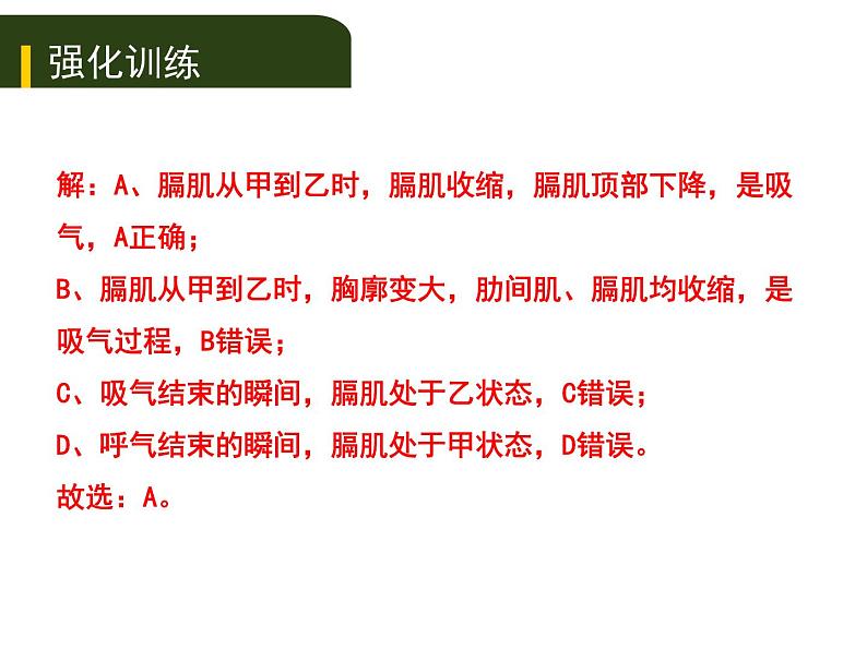 初中生物中考复习 五、（二）人体生命活动的能量供给课件PPT第6页