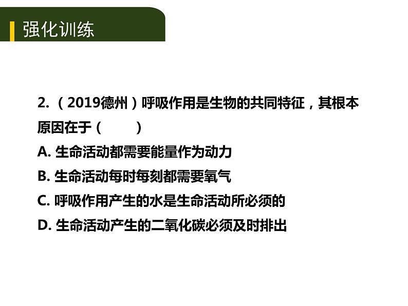 初中生物中考复习 五、（二）人体生命活动的能量供给课件PPT第7页