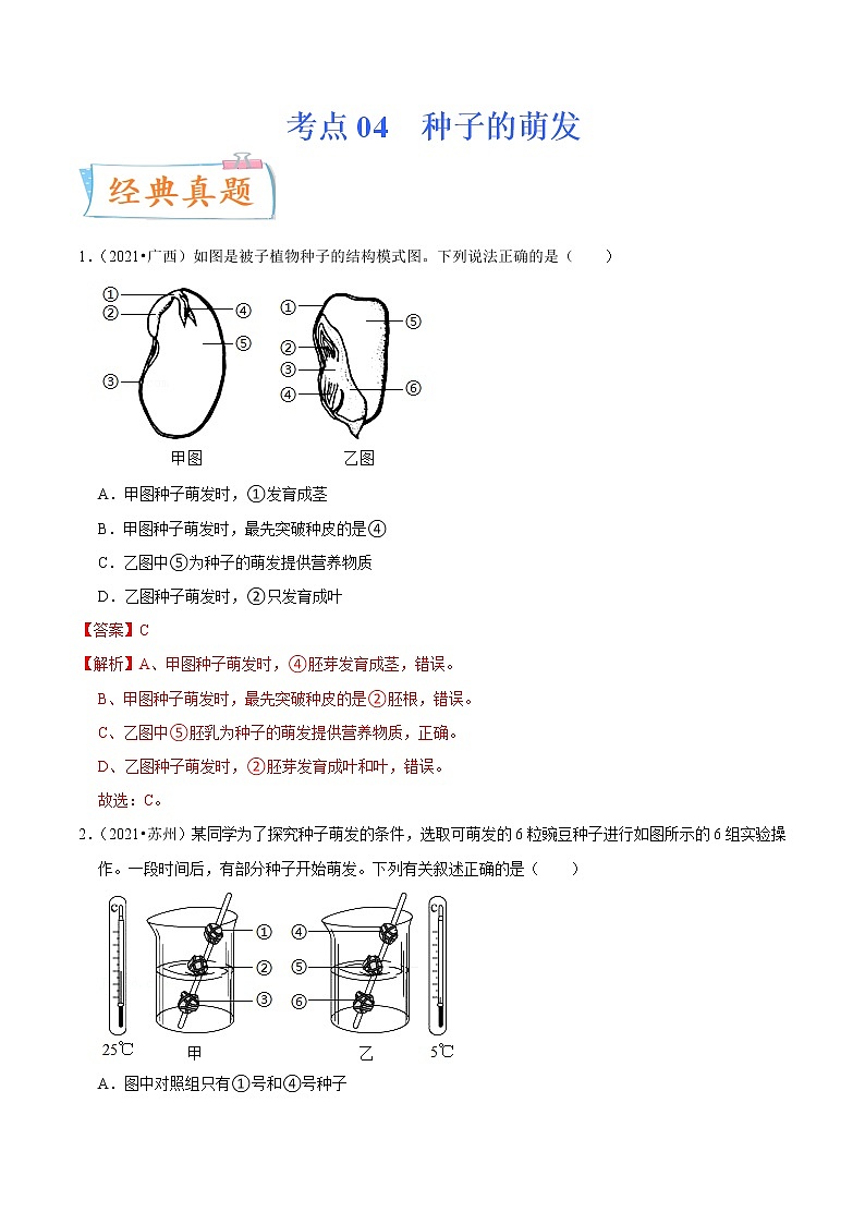 初中生物中考复习 考点04 种子的萌发-备战2022年中考生物一轮复习考点微专题第1页