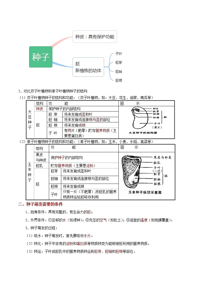 初中生物中考复习 考点04 种子的萌发-备战2022年中考生物一轮复习考点微专题第3页