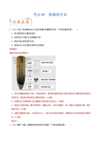 初中生物中考复习 考点05 植株的生长-备战2022年中考生物一轮复习考点微专题