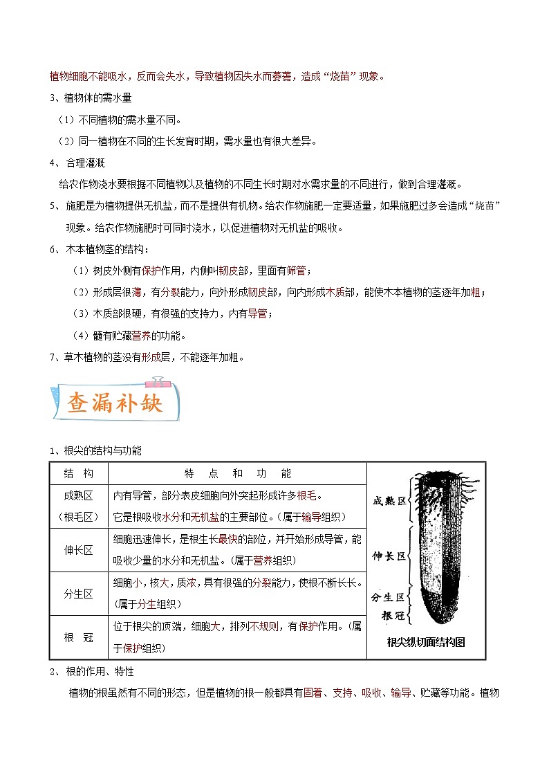 初中生物中考复习 考点05 植株的生长-备战2022年中考生物一轮复习考点微专题第3页
