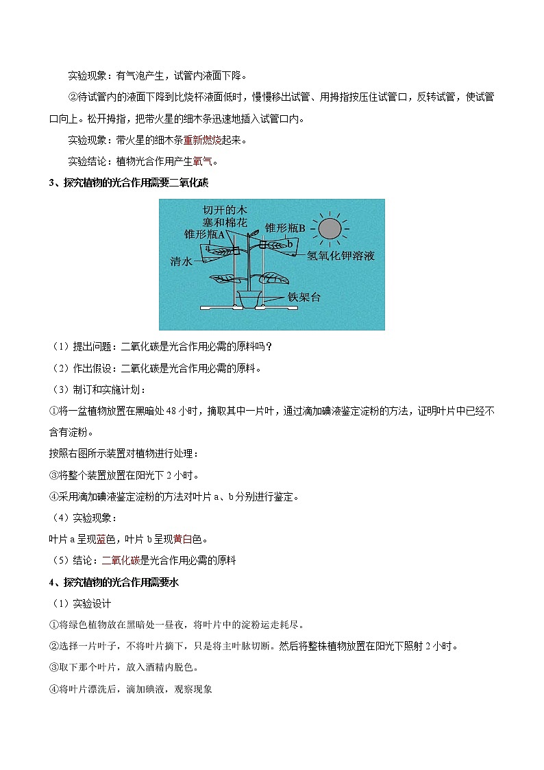 初中生物中考复习 考点08 绿色植物的光合作用-备战2022年中考生物一轮复习考点微专题03