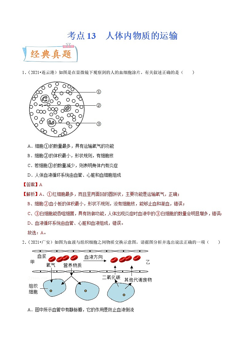 初中生物中考复习 考点13 人体内物质的运输-备战2022年中考生物一轮复习考点微专题第1页