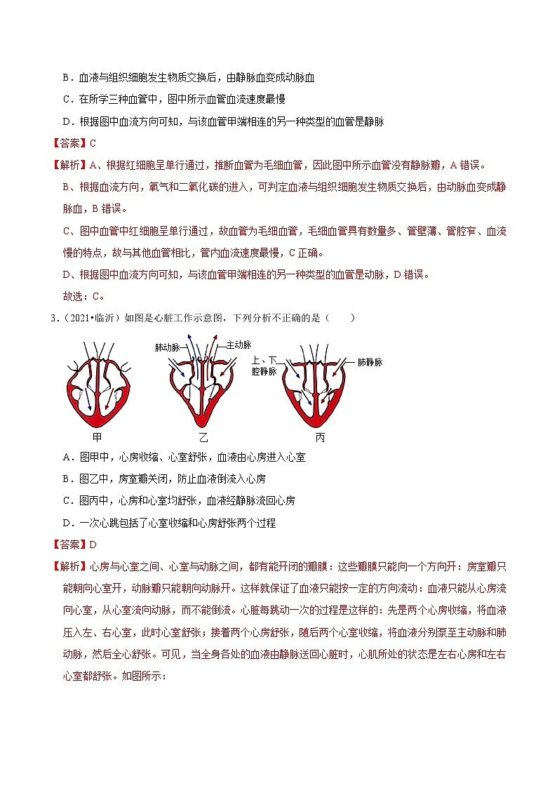 初中生物中考复习 考点13 人体内物质的运输-备战2022年中考生物一轮复习考点微专题第2页