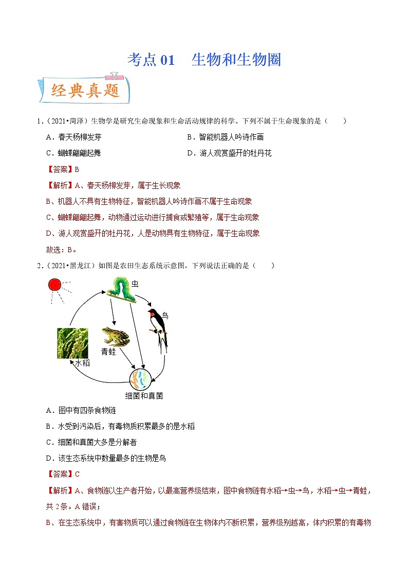 初中生物中考复习 考点01 生物和生物圈-备战2022年中考生物一轮复习考点微专题01