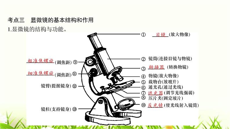 中考生物复习第3章细胞第4章生物体的结构层次课件08