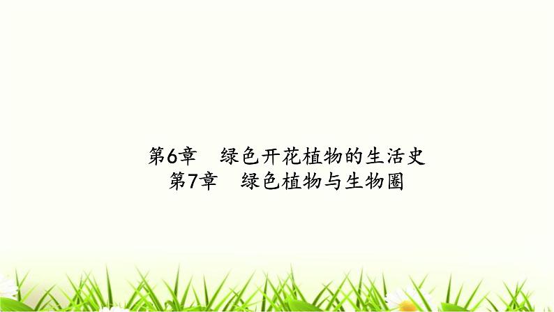 中考生物复习第6章绿色开花植物的生活史第7章绿色植物与生物圈课件02