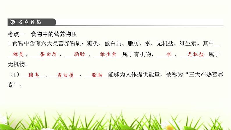 中考生物复习第8章人体的营养课件04