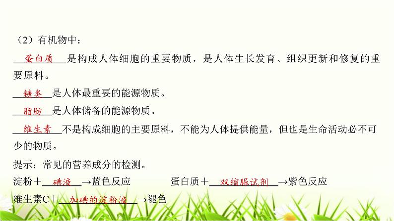 中考生物复习第8章人体的营养课件05