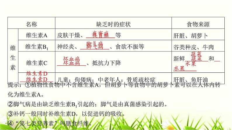 中考生物复习第8章人体的营养课件07