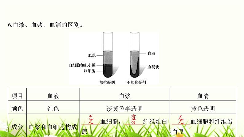 中考生物复习第9章人体内的物质运输课件第8页