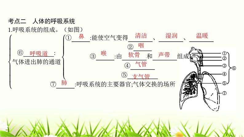 中考生物复习第10章人体的能量供应课件06