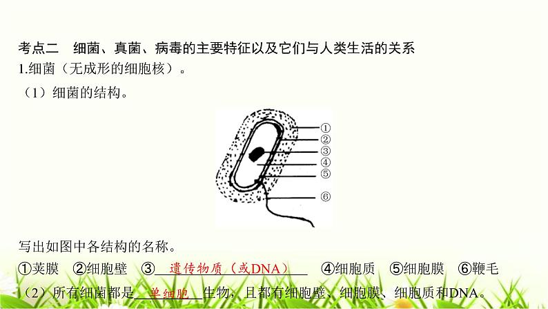 中考生物复习第18章生物圈中的微生物课件05