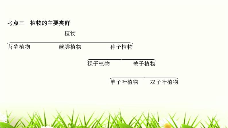 中考生物复习第22章物种的多样性课件第8页