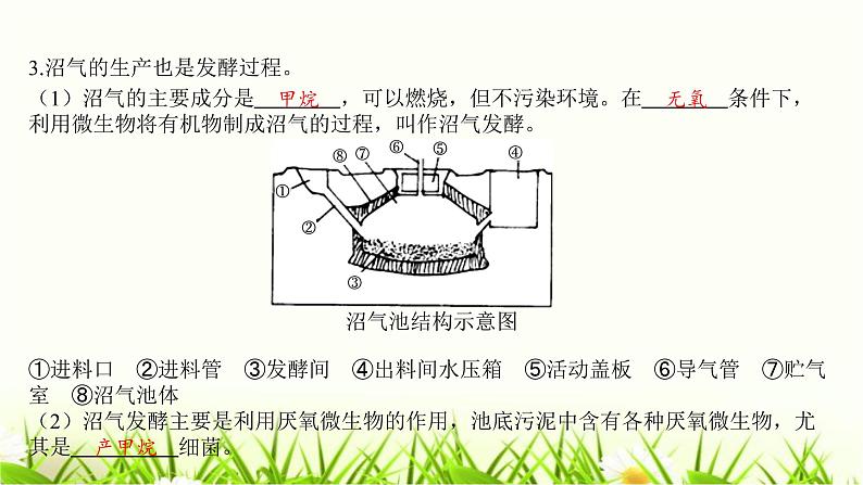 中考生物复习第25章生物技术课件07