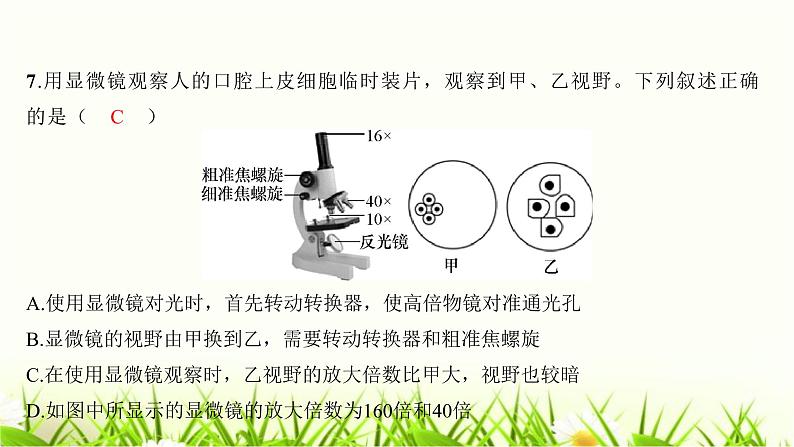 中考生物复习七年级上册生物学阶段检测卷课件06