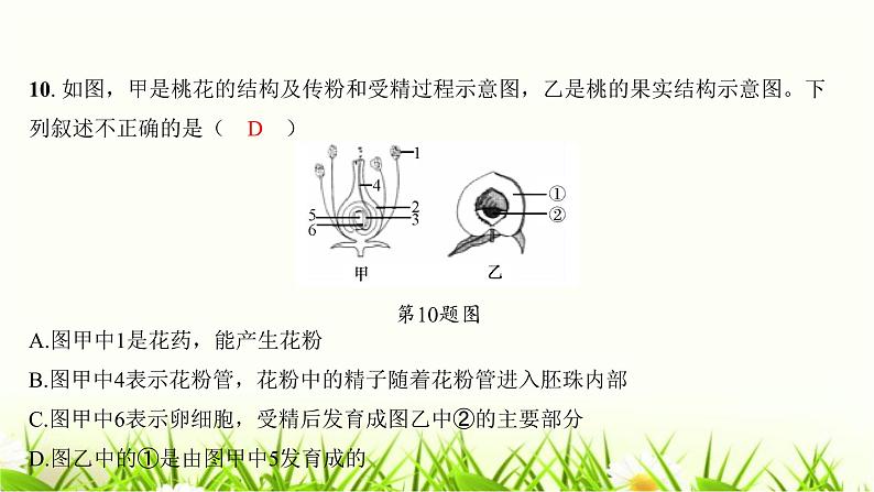 中考生物复习七年级上册生物学阶段检测卷课件08