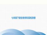 中考生物复习七年级下册生物学阶段检测卷课件