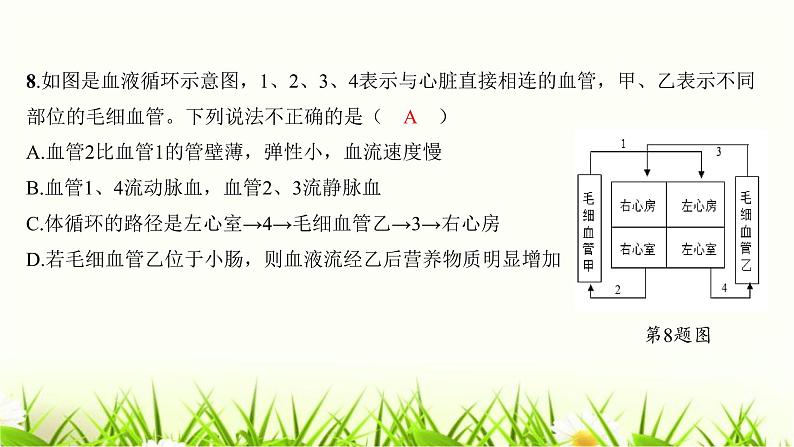 中考生物复习七年级下册生物学阶段检测卷课件第7页