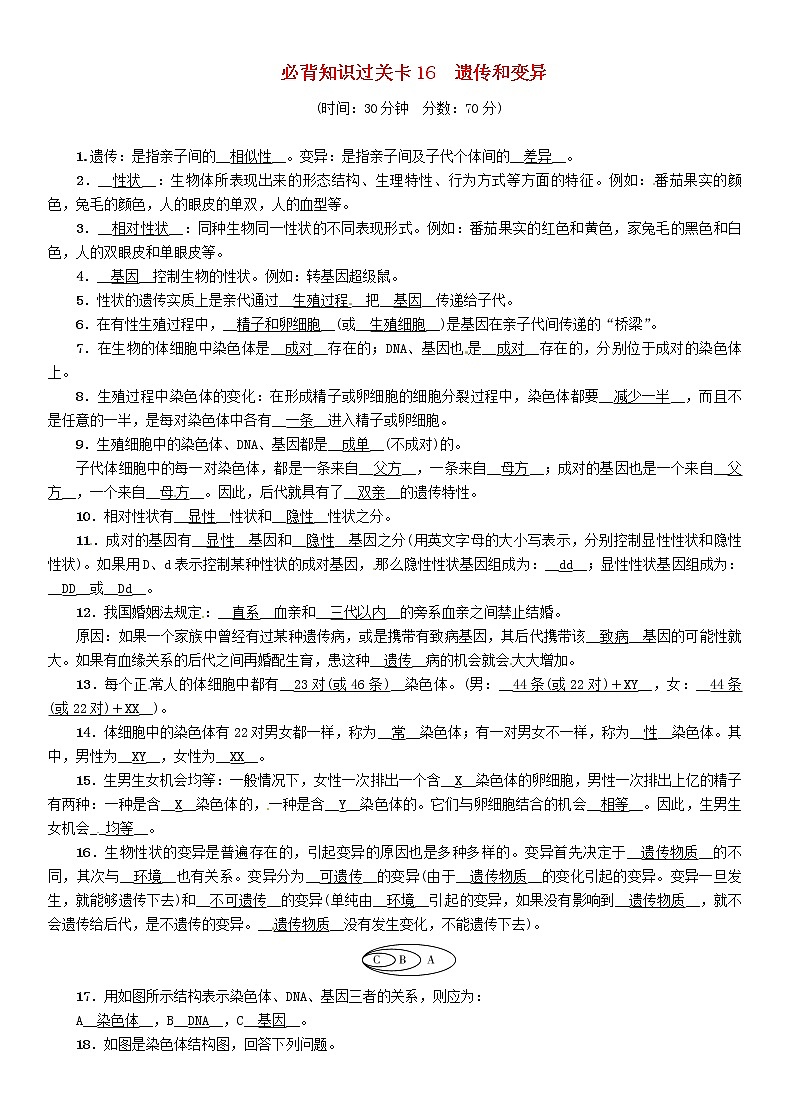 初中生物中考复习 中考生物总复习必背知识过关卡16遗传和变异第1页