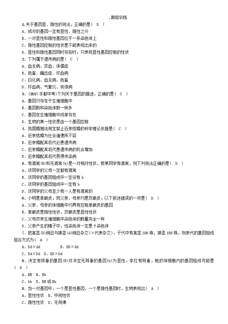 初中生物中考复习 中考生物总复习第3节基因的显性和隐性精讲第2页