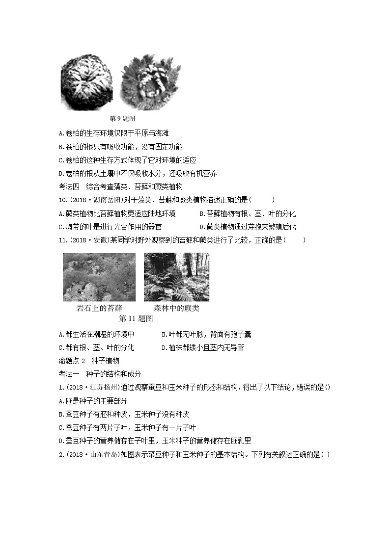 初中生物中考复习 中考生物总复习第一部分基醇点巩固第三单元第2页