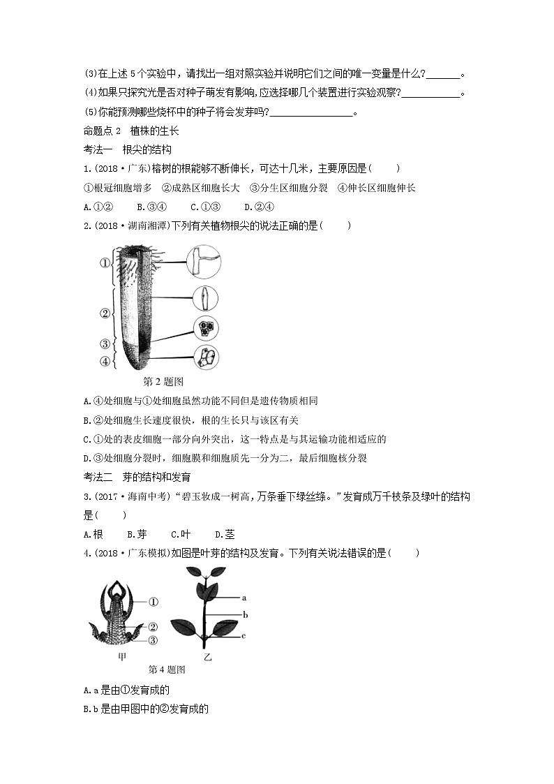 初中生物中考复习 中考生物总复习第一部分基醇点巩固第三单元生物圈中的绿色植物第二章被子植物的一生习题第3页