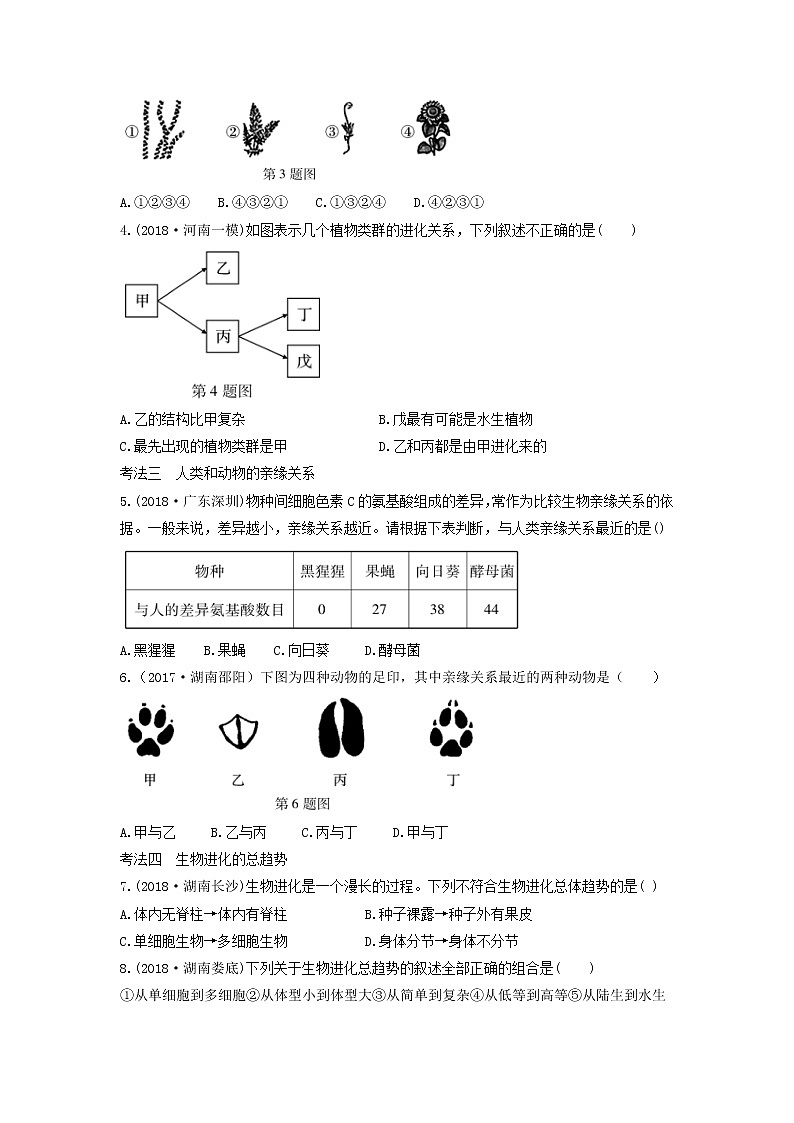 初中生物中考复习 中考生物总复习第一部分基醇点巩固第七单元生物圈中生命的延续和发展第三章生命起源和生物进化习题第2页