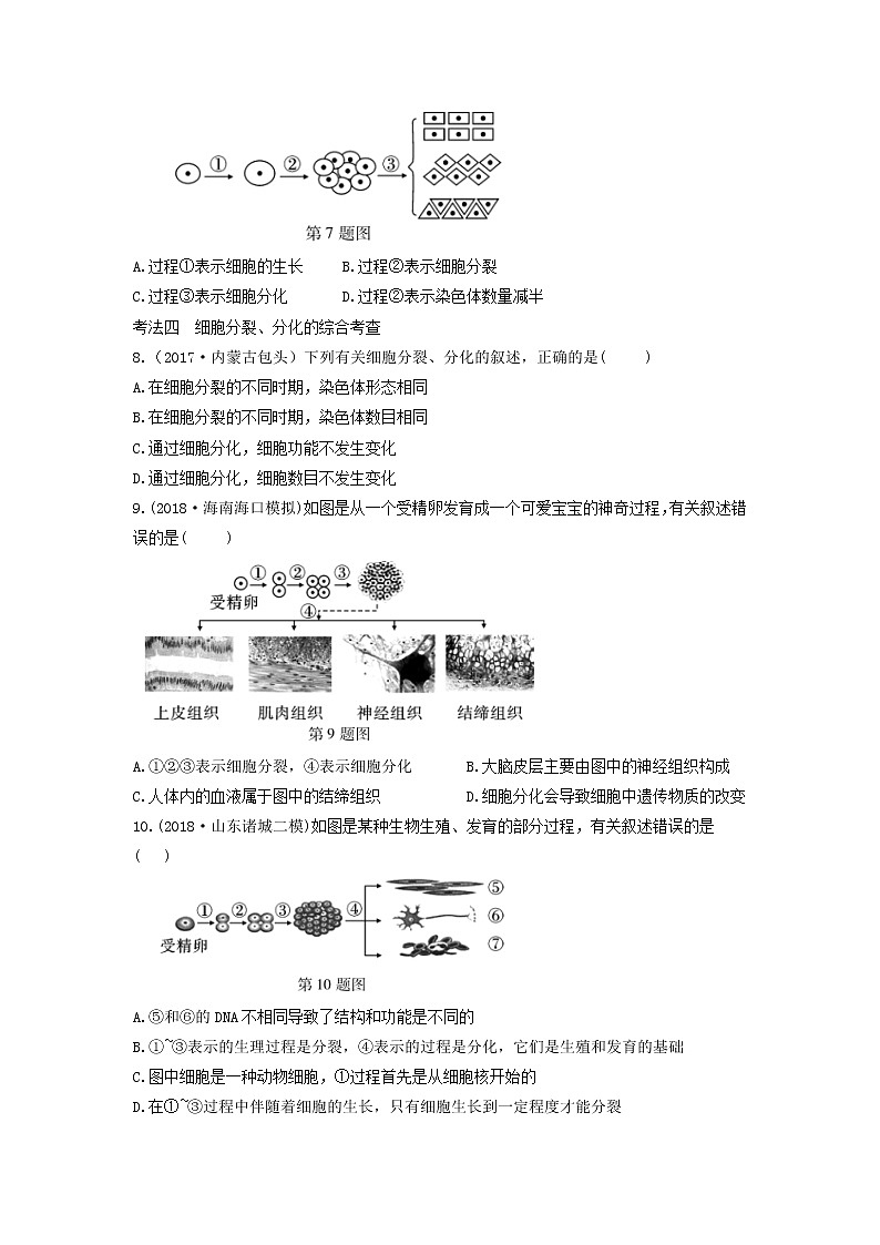 初中生物中考复习 中考生物总复习第一部分基醇点巩固第二单元生物体的结构层次第二章细胞怎样构成生物体习题第2页