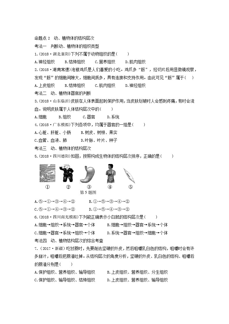 初中生物中考复习 中考生物总复习第一部分基醇点巩固第二单元生物体的结构层次第二章细胞怎样构成生物体习题第3页