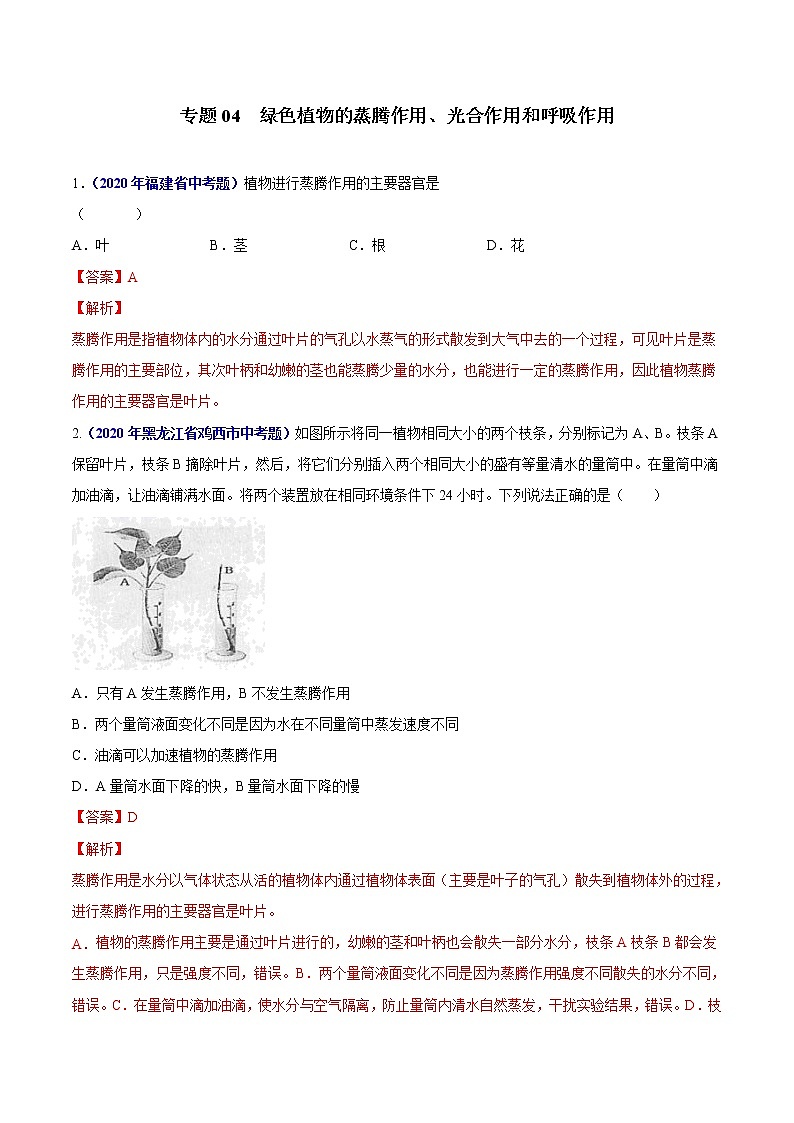 初中生物中考复习 专题04 绿色植物的蒸腾作用、光合作用和呼吸作用-2020年中考生物真题分项汇编（全国通用）（解析版）01