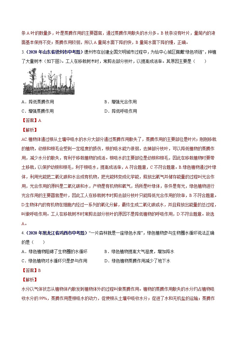 初中生物中考复习 专题04 绿色植物的蒸腾作用、光合作用和呼吸作用-2020年中考生物真题分项汇编（全国通用）（解析版）02