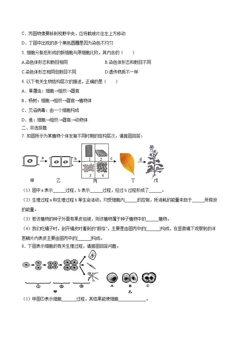 初中生物中考复习 专题02 生物体的结构层次-2020年中考生物挑战压轴题（原卷版）第2页